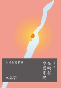 在峽谷享受陽(yáng)光:朱鴻作品精讀