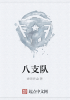八支队