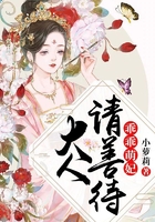 乖乖萌妃：大人請善待在線閱讀
