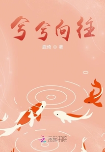 兮兮向往