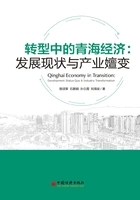 转型中的青海经济:发展现状与产业嬗变在线阅读