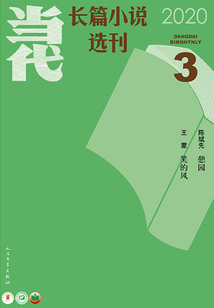 當代長篇小說選刊（2020年3期）