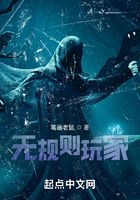 无规则玩家在线阅读