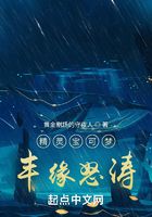 精灵宝可梦:丰缘怒涛在线阅读