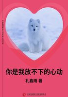你是我放不下的心動在線閱讀
