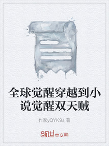 全球覺醒穿越到小說覺醒雙天賊