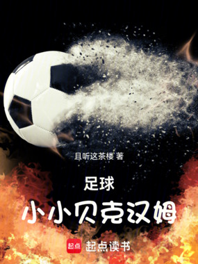 足球：小小贝克汉姆在线阅读