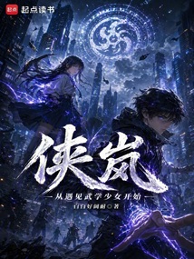 侠岚:从遇见武学少女开始 cover