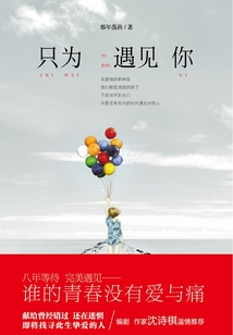 只為遇見你