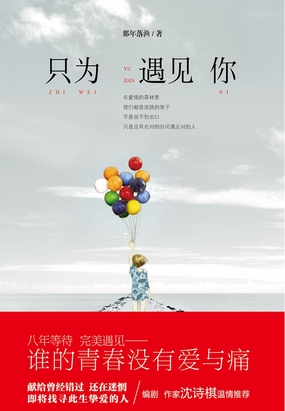 只为遇见你在线阅读