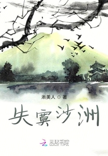 失寞沙洲