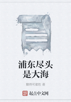 浦东尽头是大海在线阅读