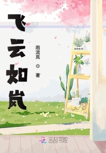 飛云如嵐