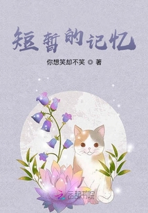 短暂的记忆