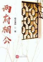兩府相公在線閱讀