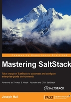 Mastering SaltStack