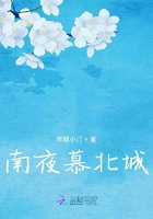南夜慕北城