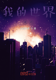 我的世界魂師