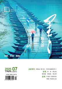 星星·散文詩（2020年第7期）
