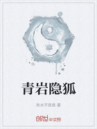 青岩隐狐在线阅读