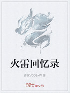 火雷回忆录在线阅读