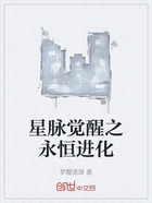 星脉觉醒之永恒进化在线阅读