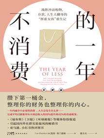 不消费的一年