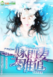 魔鬼的温柔,二嫁前妻太难追