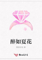 醉如夏花在線閱讀