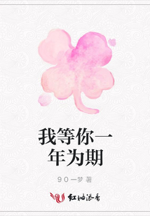 我等你一年为期