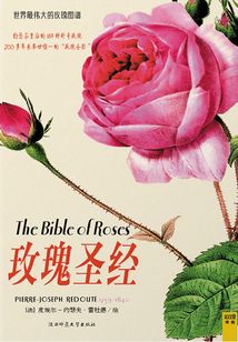 玫瑰圣經(jīng)（大本精裝）