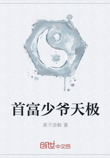 首富少爺天極