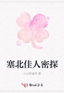 塞北佳人密探
