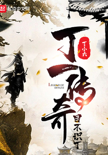 丁一傳奇目不識(shí)丁