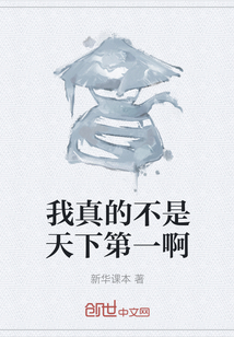 我真的不是天下第一啊