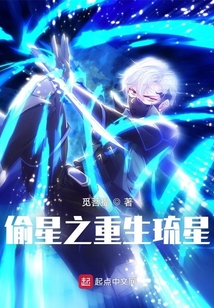 偷星之重生琉星