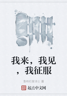 我來，我見，我征服