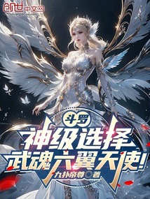 斗羅：神級(jí)選擇，武魂六翼天使！
