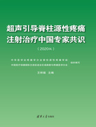 超声引导脊柱源性疼痛注射治疗中国专家共识（2020版）在线阅读