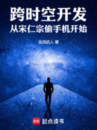 跨时空开发,从宋仁宗偷手机开始在线阅读