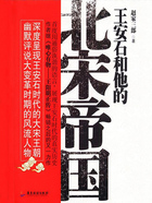 王安石和他的北宋帝国在线阅读