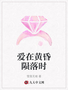 爱在黄昏陨落时在线阅读