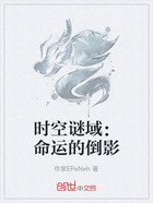 时空谜域：命运的倒影在线阅读