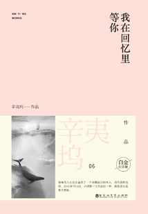 我在回憶里等你