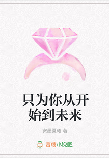 只为你从开始到未来