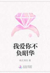我愛你不負昭華