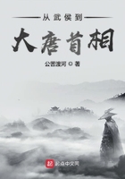 從武侯到大唐首相在線閱讀