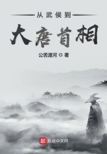 從武侯到大唐首相