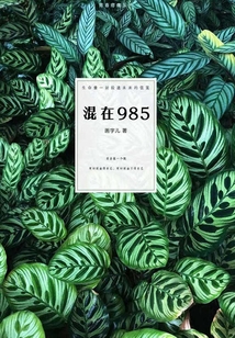 混在985