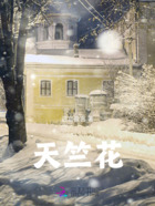 天竺花在線閱讀
